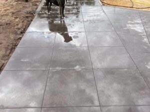 242193867_1431441567241023_6604834225965139416_n